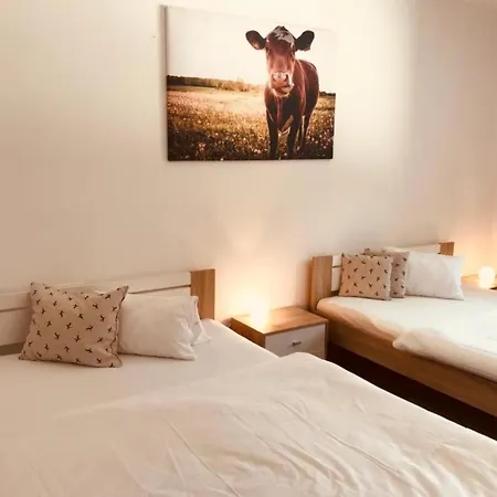 Ours Living Pihapper Blick - Inkl Sauna Und Sommerkarte Hollersbach im Pinzgau